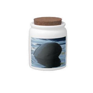 Irrawaddy Dolphin Peek-A-Boo Candy Jar