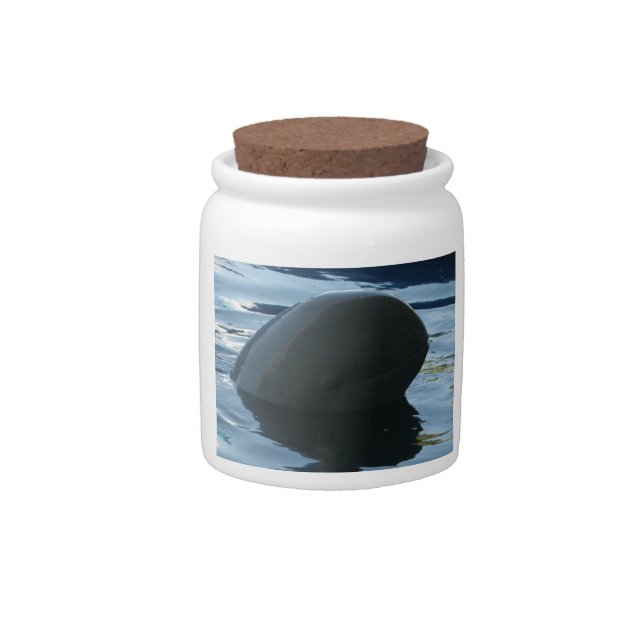 Irrawaddy Dolphin Peek-A-Boo Candy Jar (Front)