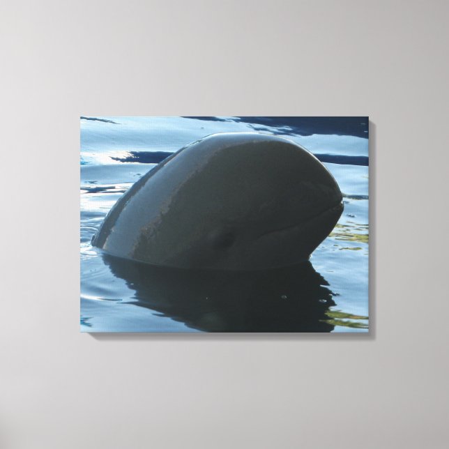 Irrawaddy Dolphin Peek-A-Boo Canvas Print (Front)