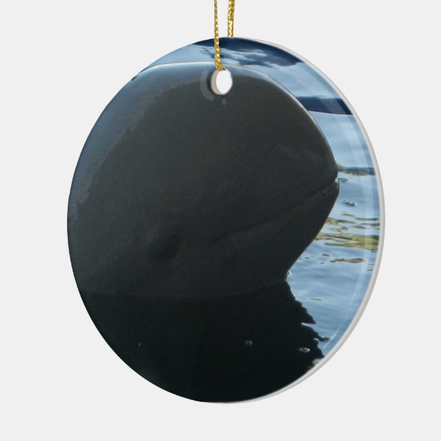 Irrawaddy Dolphin Peek-A-Boo Ceramic Ornament (Left)