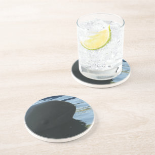 Irrawaddy Dolphin Peek-A-Boo Coaster