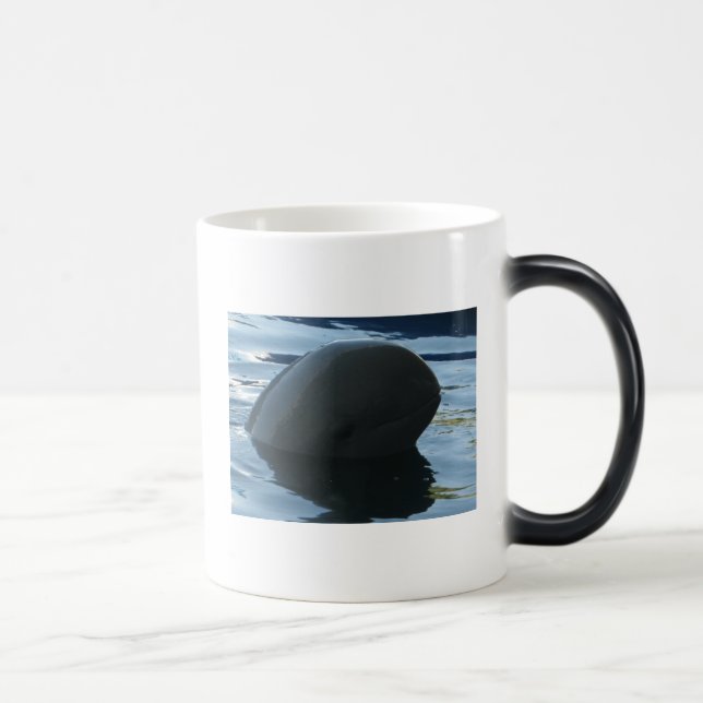 Irrawaddy Dolphin Peek-A-Boo Color Morph Mug (Right)