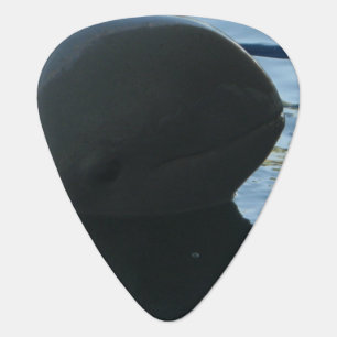 Irrawaddy Dolphin Peek-A-Boo Guitar Pick
