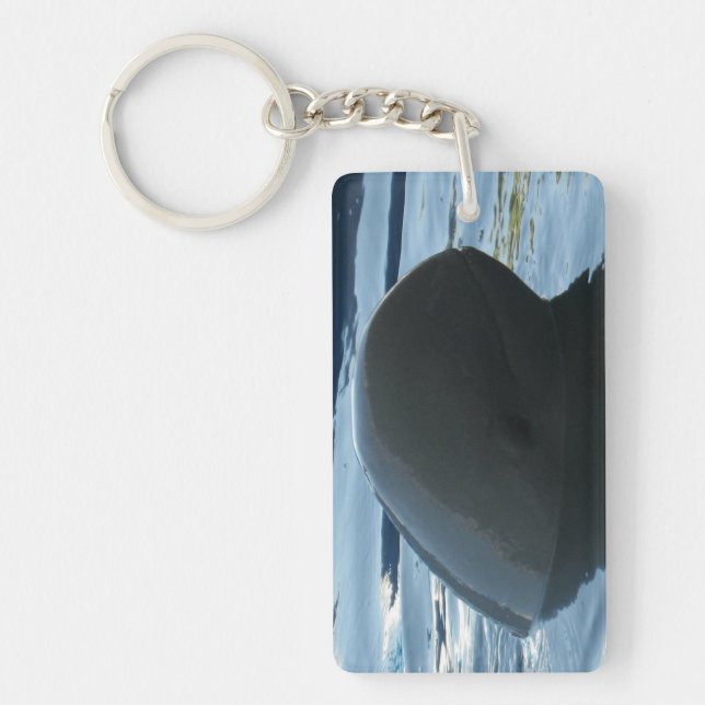 Irrawaddy Dolphin Peek-A-Boo Keychain (Front)