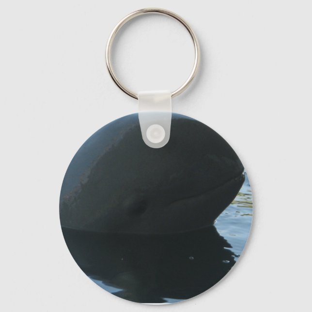 Irrawaddy Dolphin Peek-A-Boo Keychain (Front)