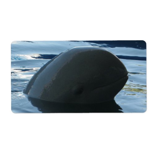 Irrawaddy Dolphin Peek_A_Boo Label