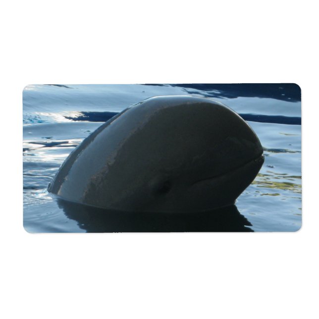 Irrawaddy Dolphin Peek-A-Boo Label (Front)