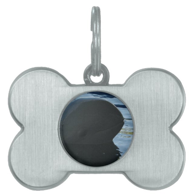 Irrawaddy Dolphin Peek-A-Boo Pet ID Tag (Front)