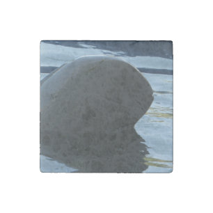 Irrawaddy Dolphin Peek-A-Boo Stone Magnet