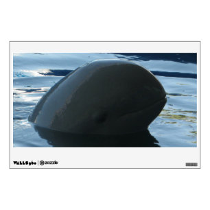 Irrawaddy Dolphin Peek-A-Boo Wall Decal