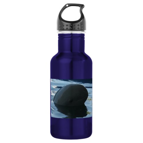 Irrawaddy Dolphin Peek_A_Boo Water Bottle