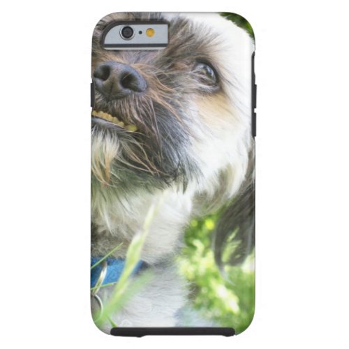 Irresistable Doggie Face Phone Case