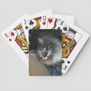 Irresistible Cat Bicycle Playing Cards