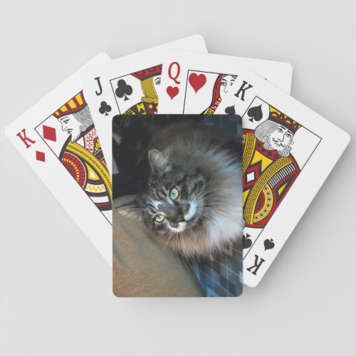 Irresistible Cat Bicycle Playing Cards