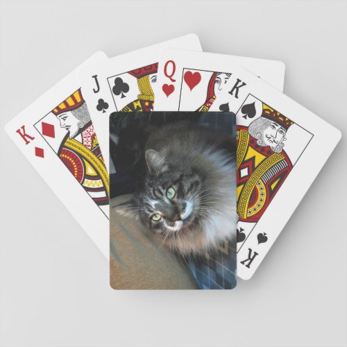 Irresistible Cat Playing Cards
