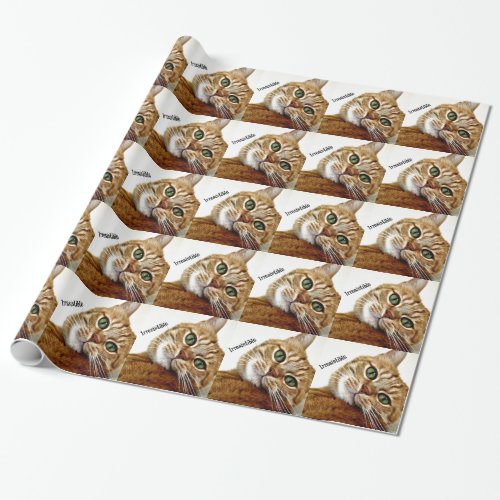 Irresistible Cat Wrapping Paper