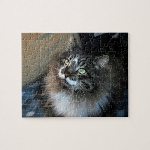 Irresistible Cat Zorro Puzzle