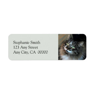 Cat Return Address Labels | Zazzle