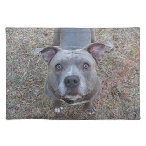 Irresistible Pitbull Placemat