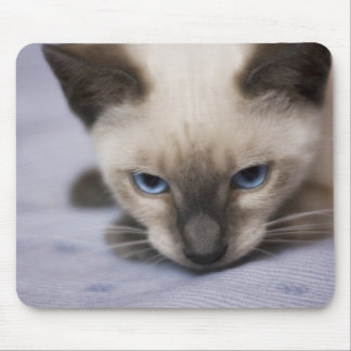 Irresistibly Blue Mousepad