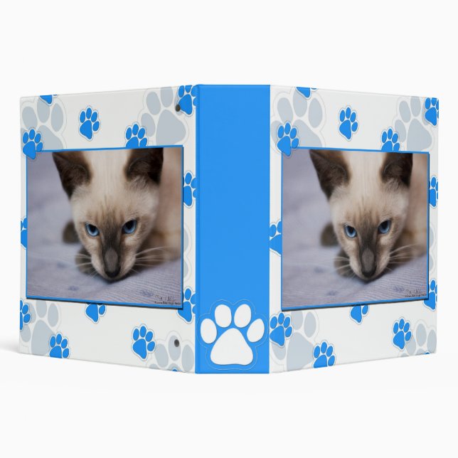 Irresistibly Cute Kitty 2" Binder (Background)