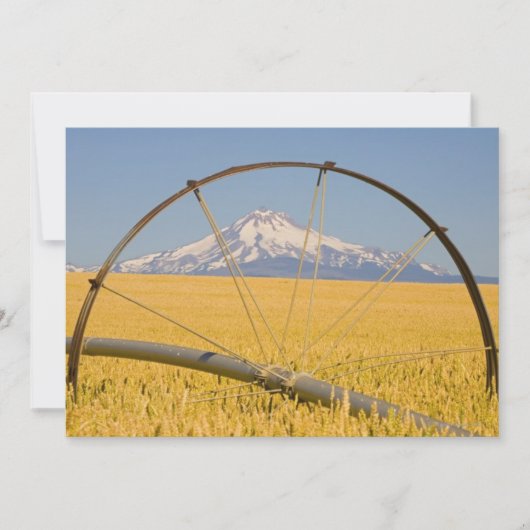 Irrigation Pipe in Field (Front)