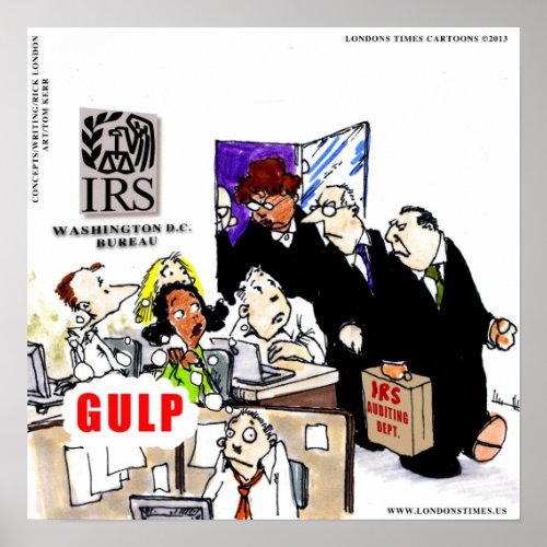 IRS Audits IRS Funny Poster