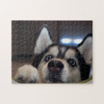 Is Anybody Out There? Jigsaw Puzzle at Zazzle