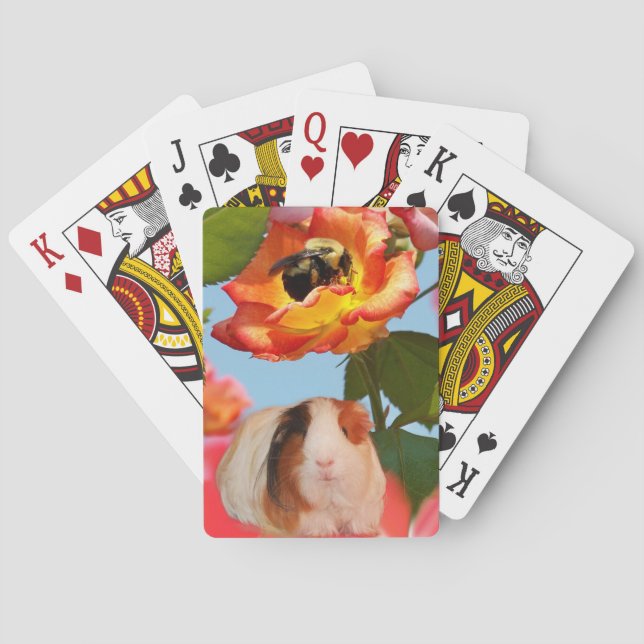 Is he gone yet? Guinea pig hiding from bee on rose Poker Cards (Back)