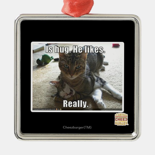 Is hug. He likes. Metal Ornament (Front)