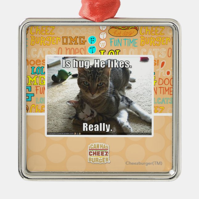 Is hug. He likes. Metal Ornament (Front)