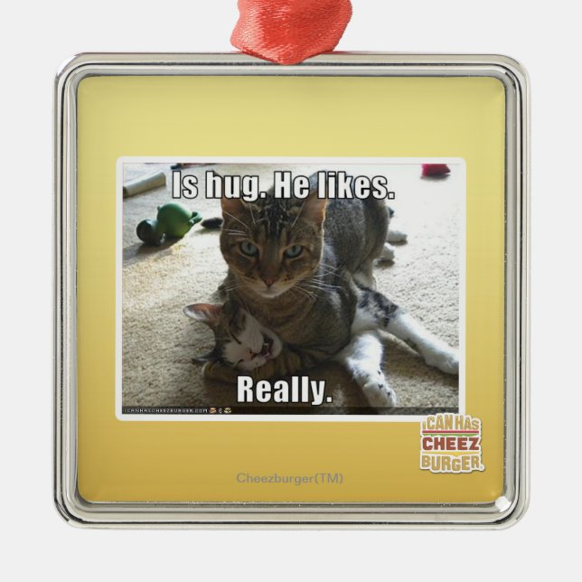 Is hug. He likes. Metal Ornament (Front)