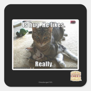 Is hug. He likes. Square Sticker