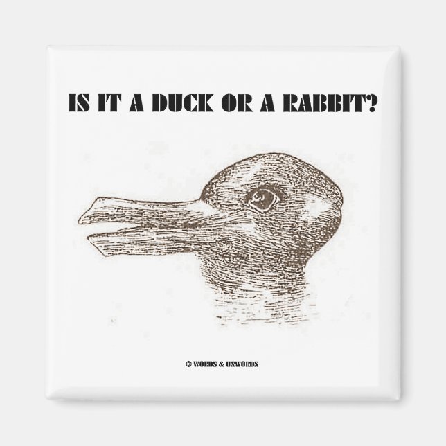Is It A Duck Or A Rabbit? (Optical Illusion) Magnet (Front)