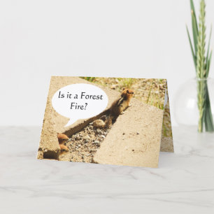 Is it a Forest Fire? Card