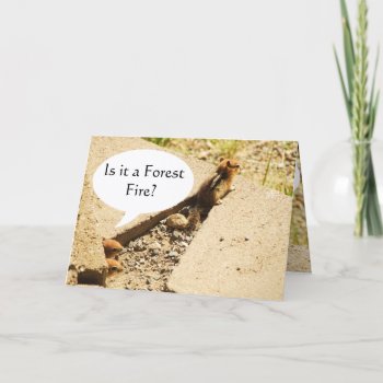 Is It A Forest Fire? Card by Bro_Jones at Zazzle