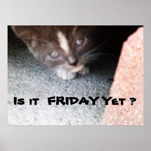 IS IT FRIDAY YET, KITTY poster | Zazzle