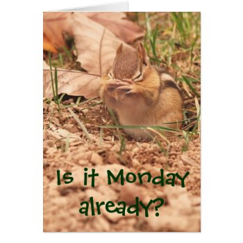 Is It Monday Already? Chipmunk Card by Meg_Stewart at Zazzle