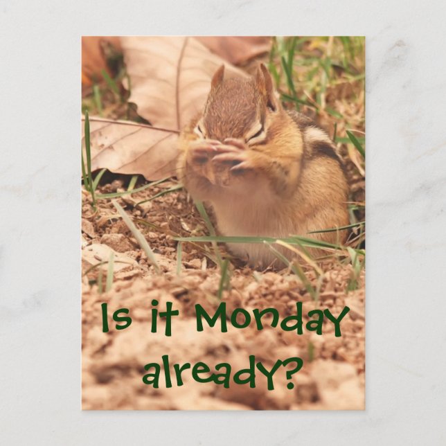 Is it Monday already? Chipmunk Postcard (Front)