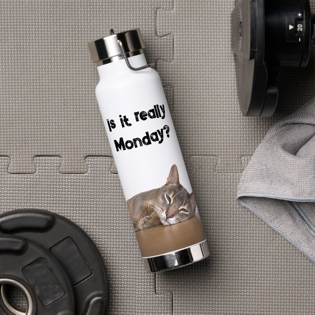 Is It Really Monday? Funny Abyssinian Cat Meme Water Bottle (Gym (Rotated))