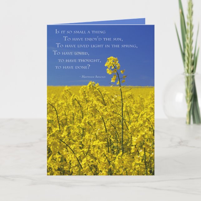 Is It So Small a Thing? Card (Front)