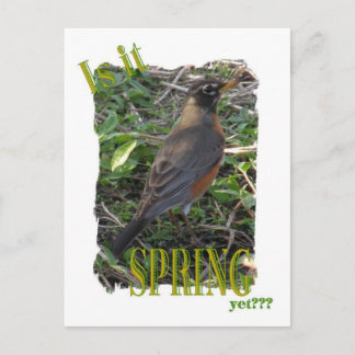 Is It Spring Yet??? Postcard