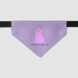Is it too late for a midnight snack? Cat Bandana Pet Bandana Collar