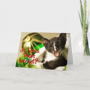 Is Santa Paws Here Yet? Card