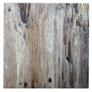 Is That a Piece of Driftwood Tile