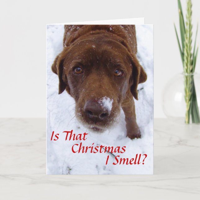 Is that Christmas I smell? Holiday Card (Front)