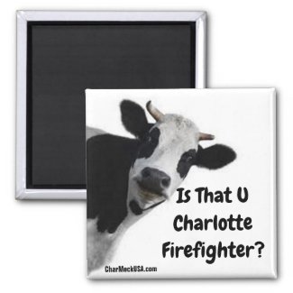Is That U Charlotte Firefighter? magnet