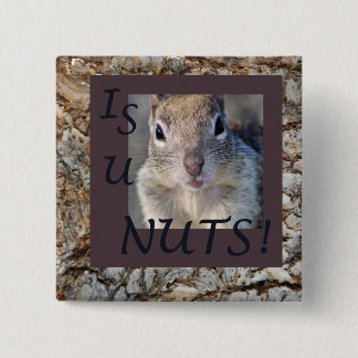 IS U NUTS! PINBACK BUTTON