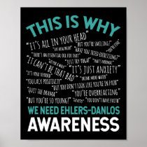 Is Why We Need Ehlers-danlos Syndrome Awareness  Poster