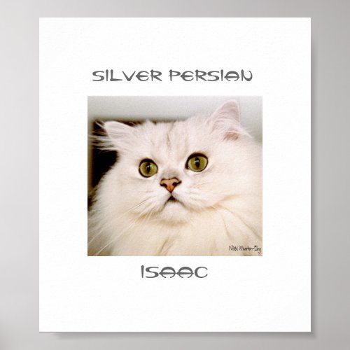 Isaac An Extraordinary Silver Persian Poster